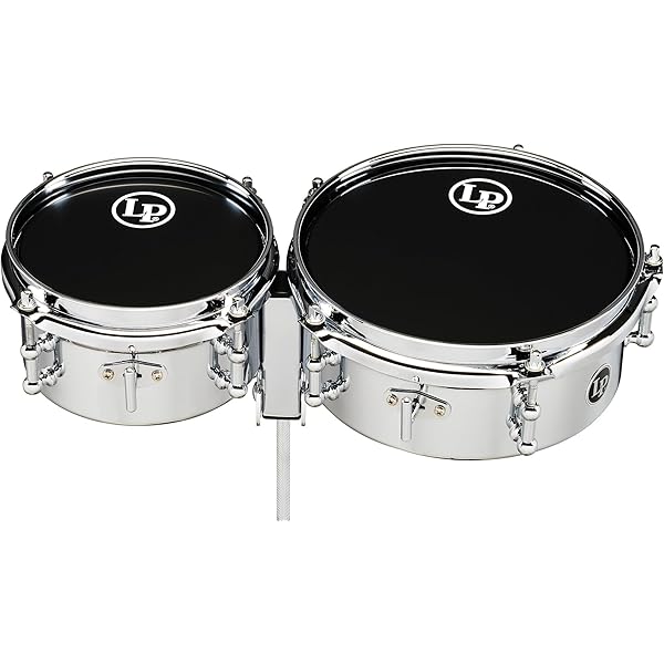 Amazon.com: Latin Percussion LP3012-SM LP Stanton Moore Pandeiro